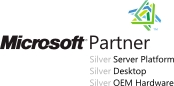 MS Partner Logo