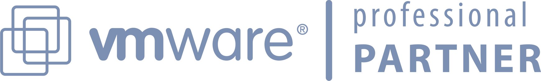 VMware Professional Partner Logo
